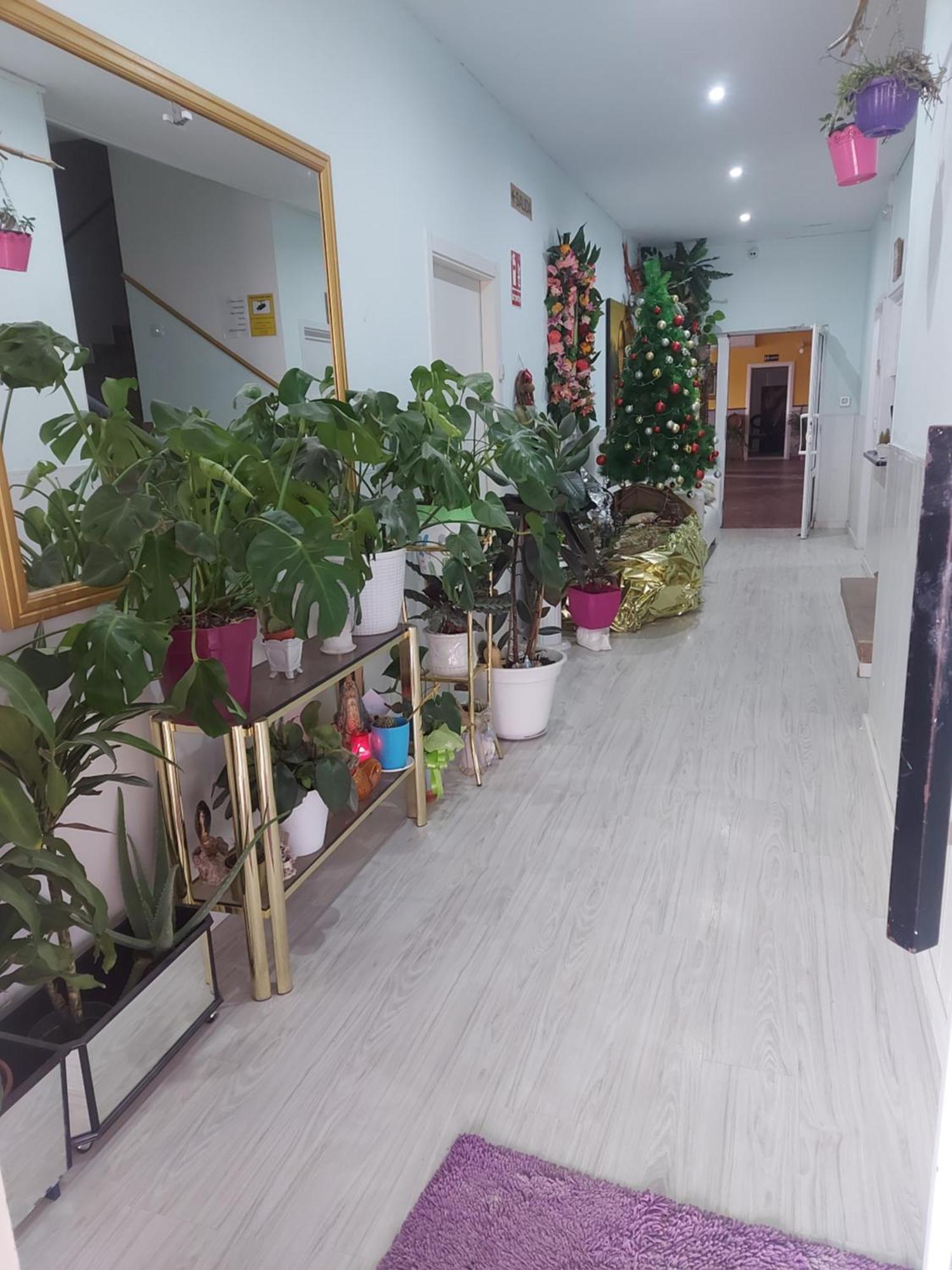 Hostal Fuente Del Pino Jumilla Luaran gambar