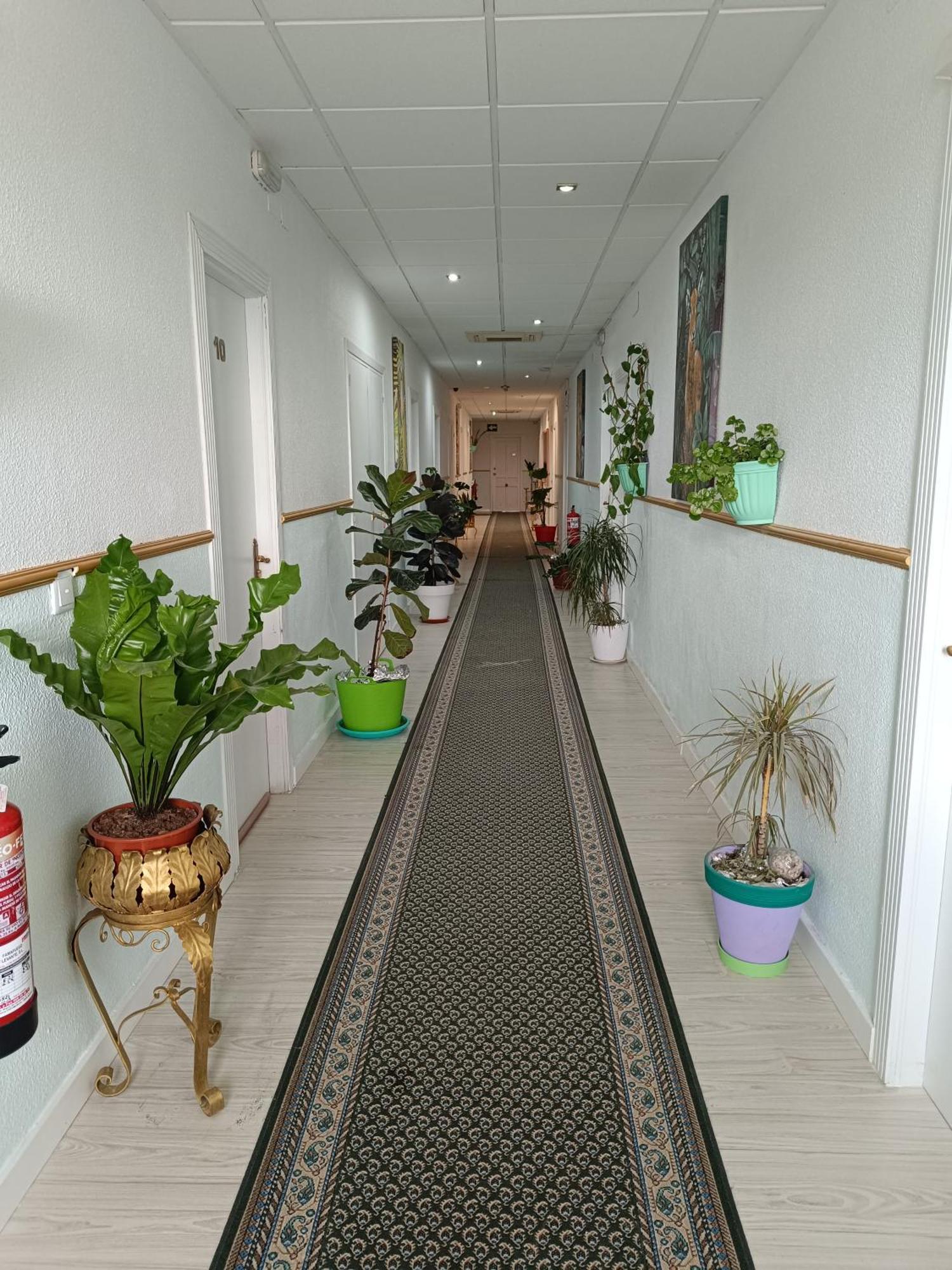 Hostal Fuente Del Pino Jumilla Luaran gambar